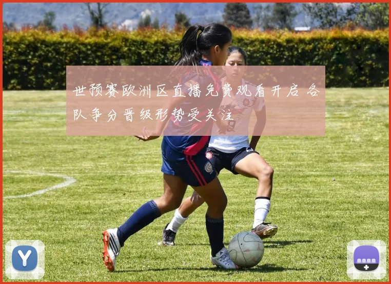 世预赛欧洲区直播免费观看开启 各队争分晋级形势受关注
